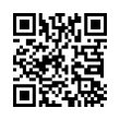 QR Code (код быстрого отклика)