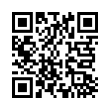 QR Code (код быстрого отклика)