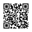 QR Code (код быстрого отклика)