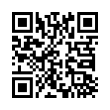 QR Code (код быстрого отклика)