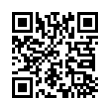 QR Code (код быстрого отклика)