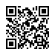 QR Code (код быстрого отклика)