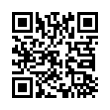 QR Code (код быстрого отклика)