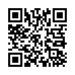 QR Code (код быстрого отклика)