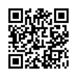 QR Code (код быстрого отклика)