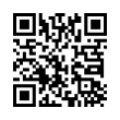 QR Code (код быстрого отклика)