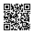 QR Code (код быстрого отклика)