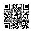 QR Code (код быстрого отклика)