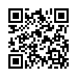 QR Code (код быстрого отклика)