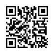 QR Code (код быстрого отклика)