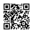 QR Code (код быстрого отклика)